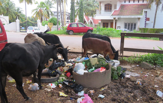 Swacchata Abhiyan